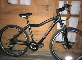 diamondback stealth mountain bike